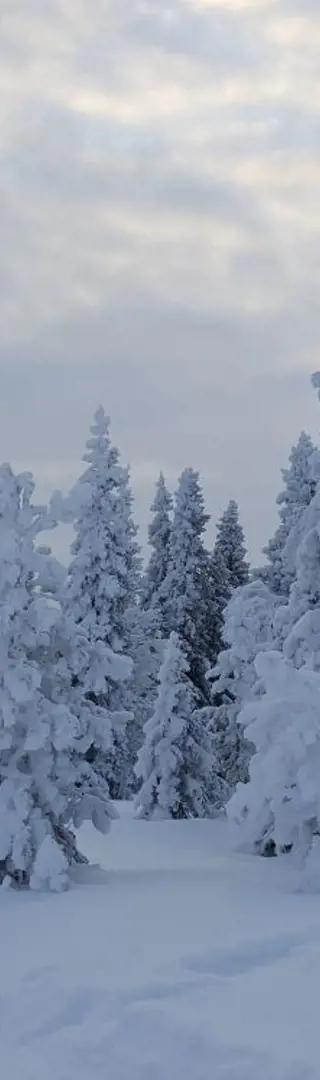 Winterlandschaft
